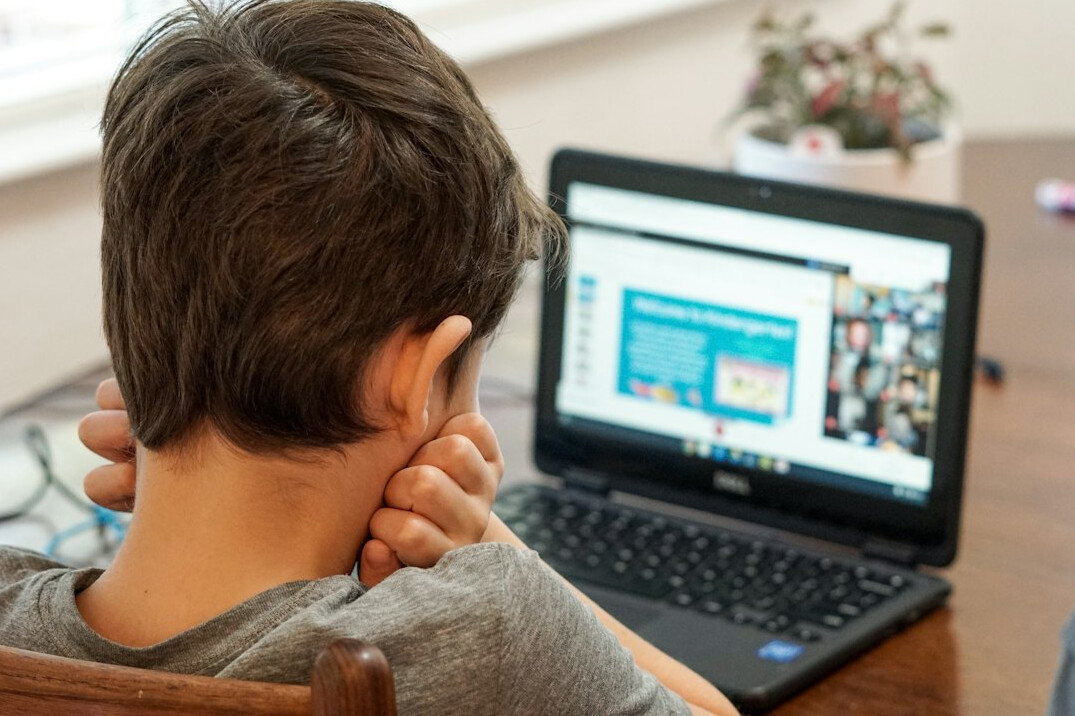 online learning setup